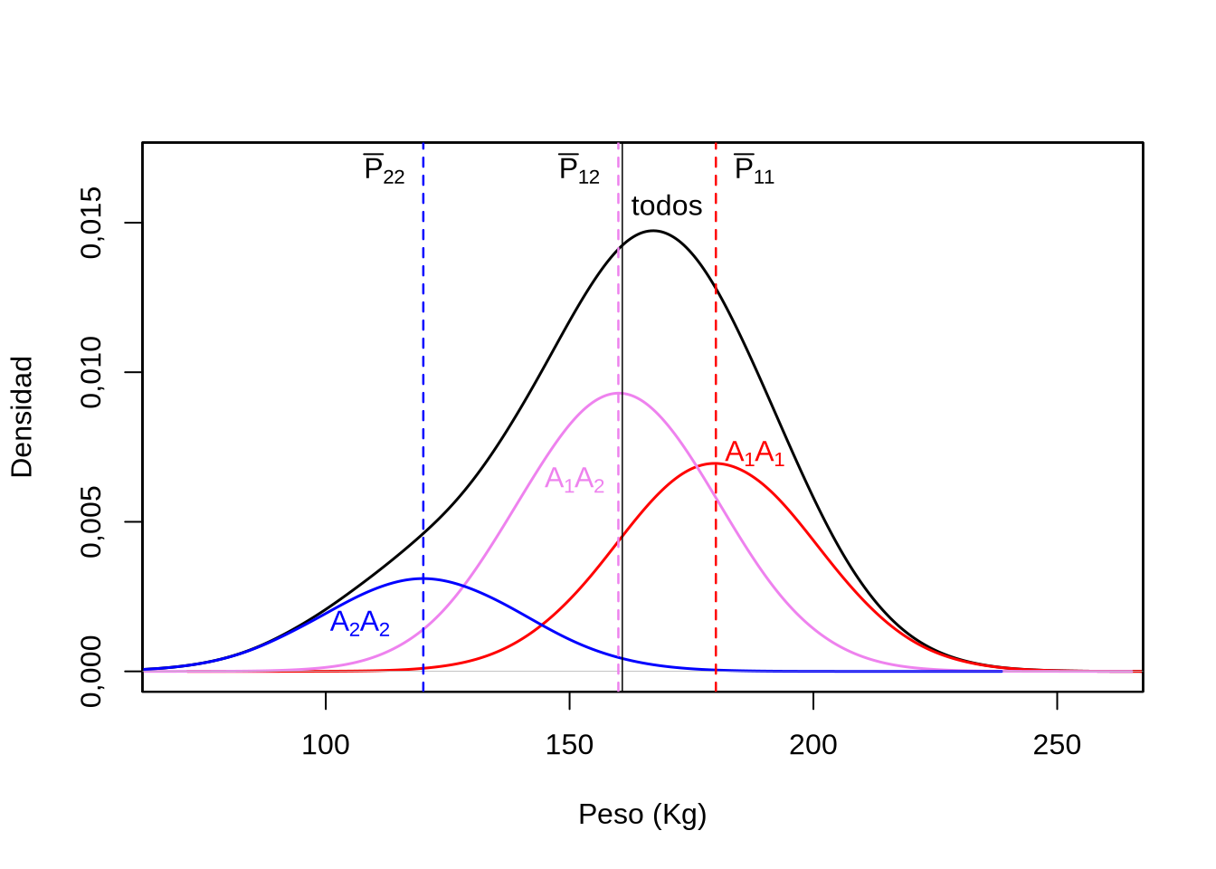 Distribución de pesos en una población compuesta de tres genotipos para un gen de efecto mayor, con dos alelos. La frecuencia del alelo \(A_1\) es \(p=0,6\) y la población se encuentra en equilibrio Hardy-Weinberg. Los pesos promedio de los tres genotipos son \(\bar{P}_{22}=120\) Kg, \(\bar{P}_{12}=160\) Kg y \(\bar{P}_{11}=180\) Kg, mientras que el efecto aleatorio del ambiente se muestrea de una distribución \(N(\mu=0,\sigma^2=400 \text{ Kg}^2)\). Casi pegado a la línea rayada violeta, puede verse en una línea vertical continua de color negro la media de la población general, es decir la media fenotípica de la población.