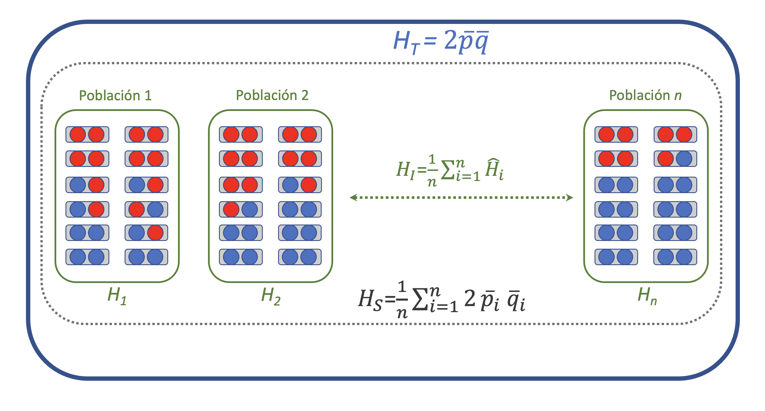 Estructuración de una gran población (marco en azul) como un ensemble de poblaciones (marcos en verde) y la distribución de la heterocigosidad observada y esperada a los distintos niveles de agregación, así como los correspondientes estadísticos.