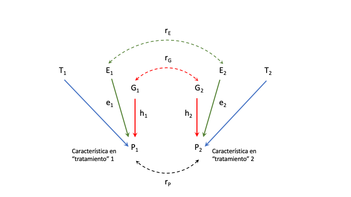 Diagrama para el estudio de la interacción genotipo-ambiente en dos ambientes, considerando la misma como una correlación genética entre dos características diferentes. En este diagrama \(T_1\) y \(T_2\) son los dos tratamientos diferentes, que pueden ser considerados como “macroambientes”., mientras que \(E_1\) y \(E_2\) son ambientes con una correlación entre ellos establecida en el modelo.