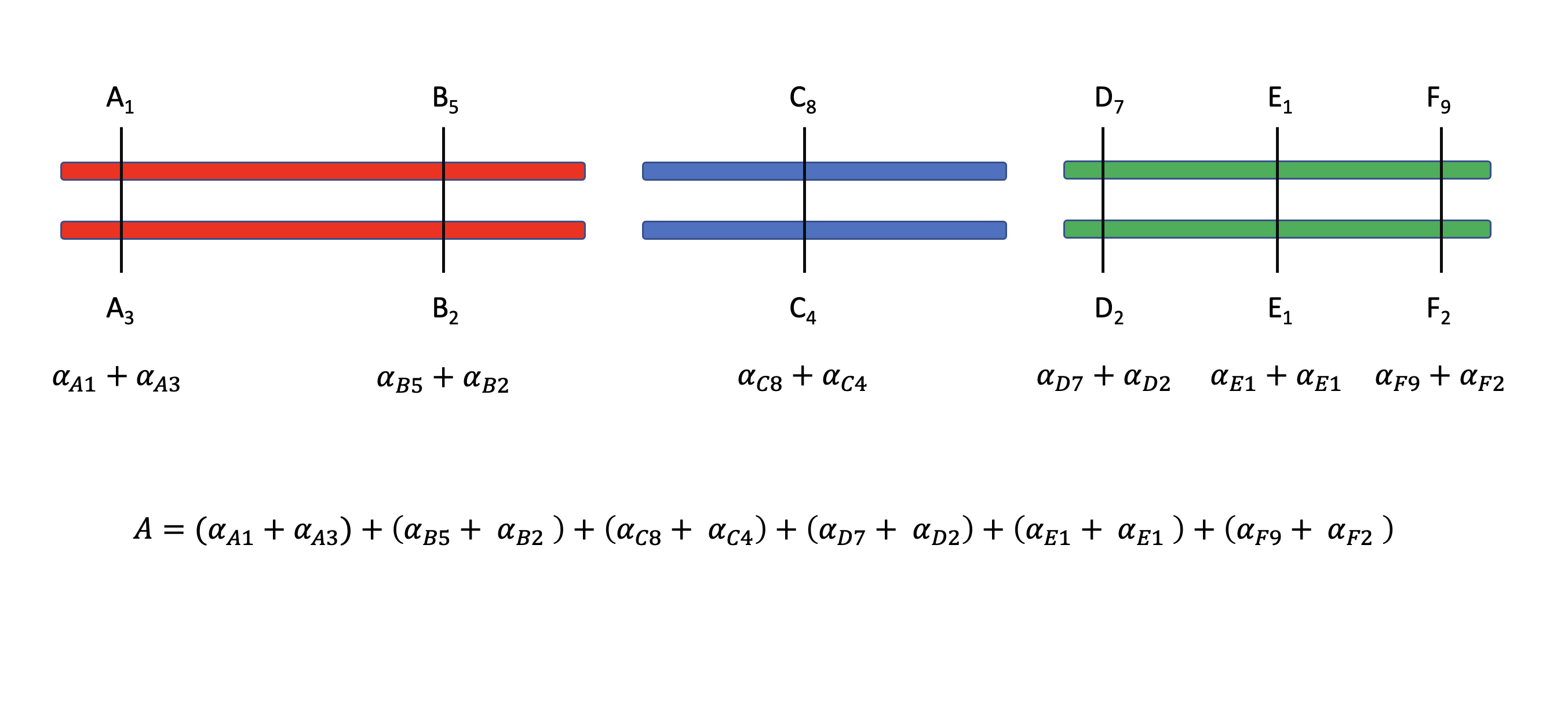 Valor de cría (o reproductivo) de un individuo diploide. Tres cromosomas, marcados por colores diferentes, presentan un total de 6 loci (nombrados A-E) que contribuyen al valor genotípico y fenotípico de una característica. El valor de cría está completamente determinado por la suma de los aportes individuales de todos los alelos presentes en los 6 loci. Cada loci tiene un número distinto de alelos, pero para cada uno de ellos siempre habrá dos alelos en particular, identificados por los números en el subíndice.