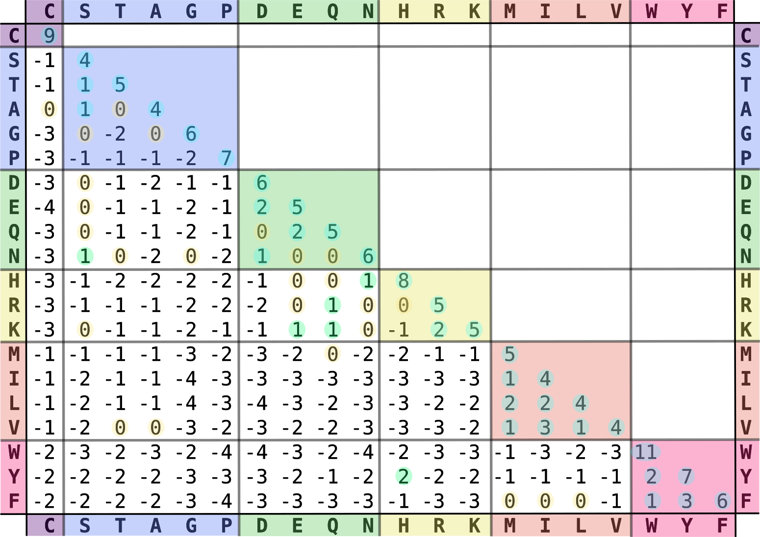 Matriz de sustitución aminoacídica BLOSUM62. Las letras en filas y columnas de la matriz refieren a los veinte aminoácidos naturales codificados directamente, y su color refleja sus tipos estructurales y fisicoquímicos. Las entradas numéricas de la matriz son proporcionales al logaritmo de la frecuencia con la que se observa la sustitución de un aminoácido por otro en proteinas homólogas. Valores positivos denotan mayores frecuencias de sustitución; lo contrario ocurre para valores negativos. Figura tomada de Wikipedia (CC BY-SA 3.0), versión original del archivo “Blosum62-dayhoff-ordering.svg”